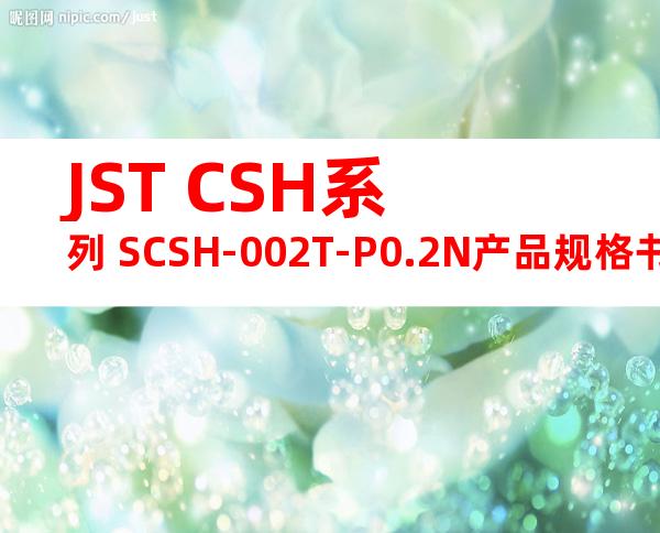 JST CSH系列 SCSH-002T-P0.2N产品规格书